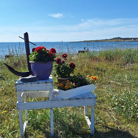 Feriehus Ved Barentshavet - Holiday Home By The Barents Sea Ytre Kiberg ภายนอก รูปภาพ