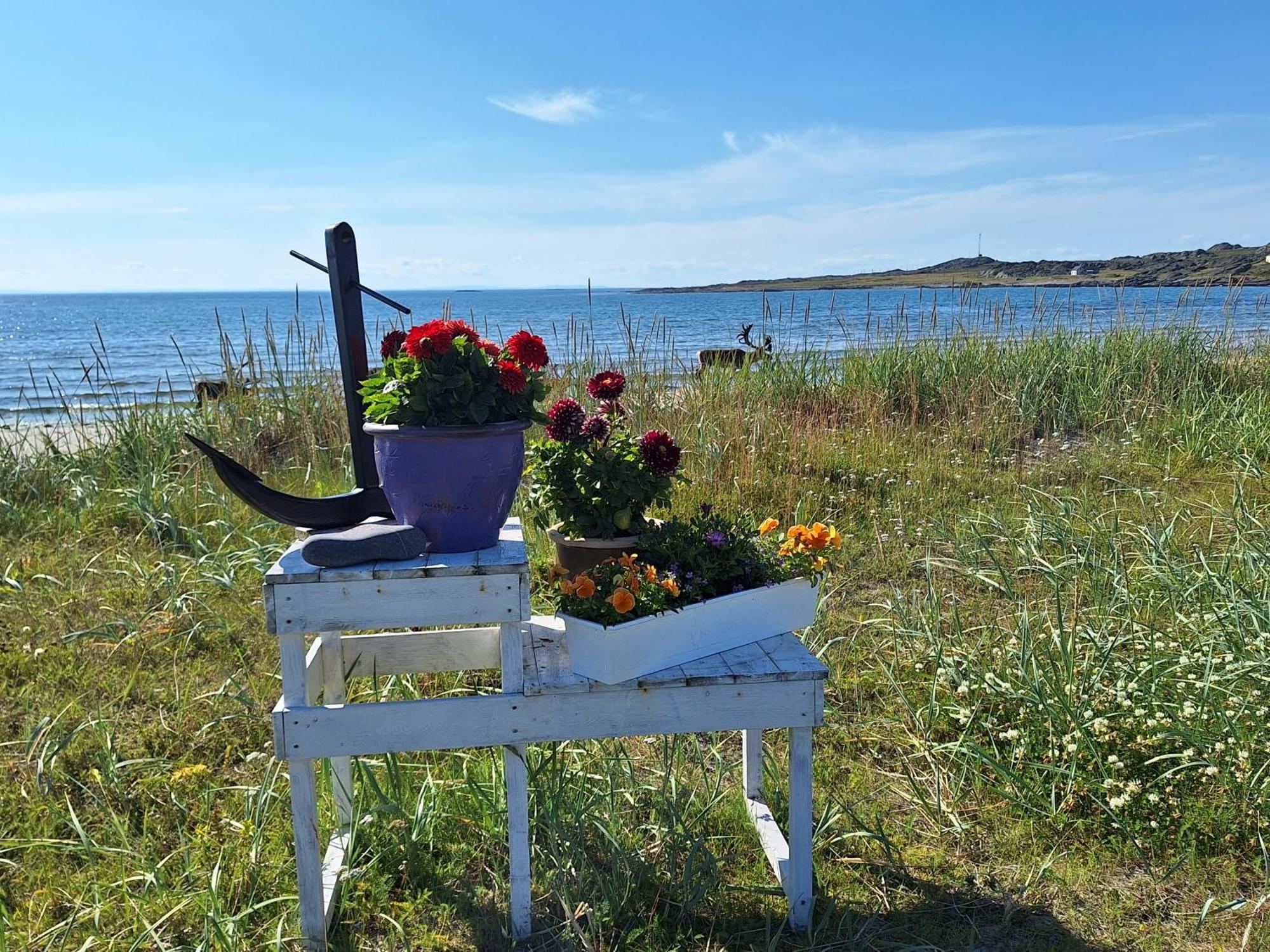 Feriehus Ved Barentshavet - Holiday Home By The Barents Sea Ytre Kiberg ภายนอก รูปภาพ